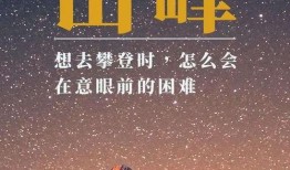 明星爆料文案励志视频,明星爆料背后的奋斗故事